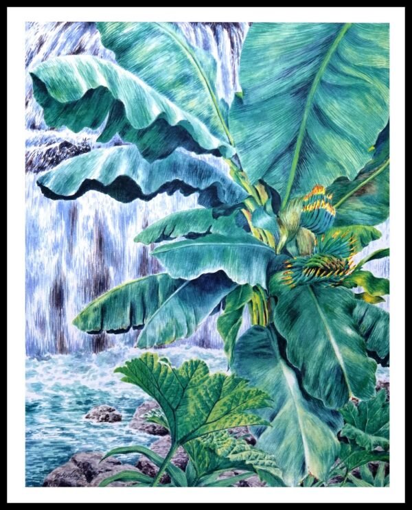 AIM 482 Sanctuary II (S/N LIMITED EDITION)